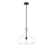 OPEN BOX: Millennium Madelynn 16in 1-Light Pendant | Matte Black and Clear Glass | Kitchen Island & Dining Room | 16 x 16 x 16 in | Model MN20301-MB