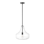 OPEN BOX: Millennium Madelynn 16in 1-Light Pendant | Matte Black and Clear Glass | Kitchen Island & Dining Room | 16 x 16 x 16 in | Model MN20301-MB