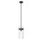 OPEN BOX: Z-Lite Fontaine 1 Light Pendant, Matte Black/Clear - ZL3035P6-MB
