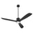 Quorum Portland 58" Wet Patio Fan, Matte Black