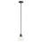 Quorum Reyes Pendant, Textured Black/Clear Seeded