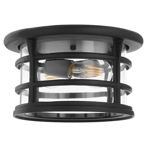 Quorum Haley 11" Outdoor Ceiling Mount, Noir/Clear