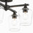 Quorum Veno 4Lt Ceiling Mount, Matte Black/Clear