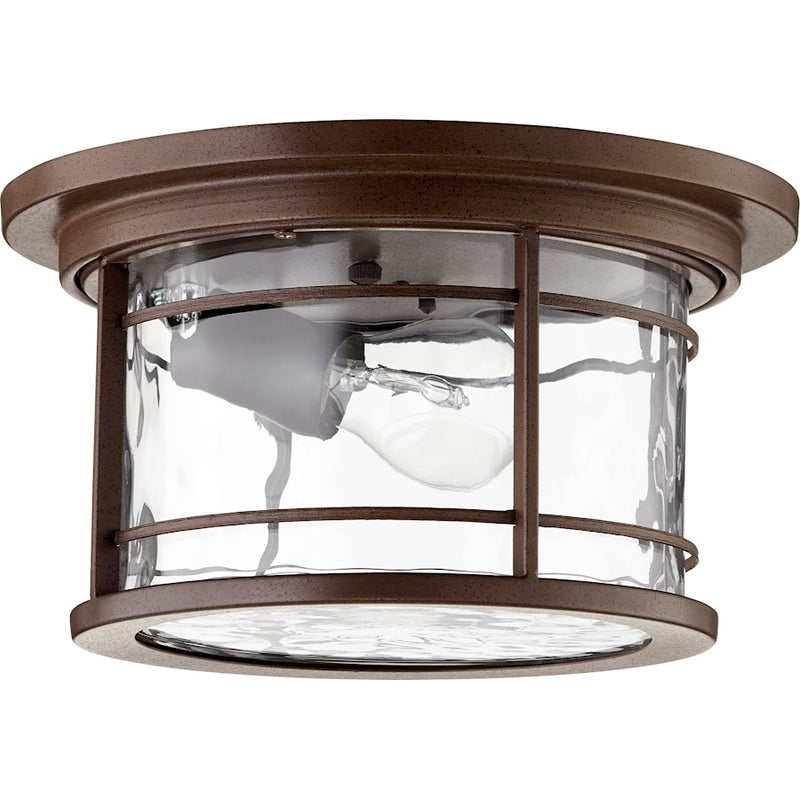 Quorum Larson 1-LT 11.25' Outdoor Ceiling Light, Bronze/Clear