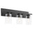 Quorum Carter 3Lt Vanity, Matte Black/Clear