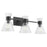 Quorum Beldar 3Lt Vanity, Matte Black/Clear Glass/Clear