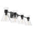 Quorum Beldar 4Lt Vanity, Matte Black/Clear Glass/Clear
