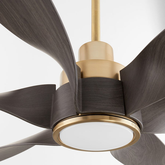 Quorum Kimbo 60" 6 Blade Patio Fan, Aged Brass