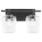 Quorum Veno 2Lt Vanity, Matte Black/Clear