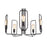 Quorum Howe 5 Light Chandelier, Noir