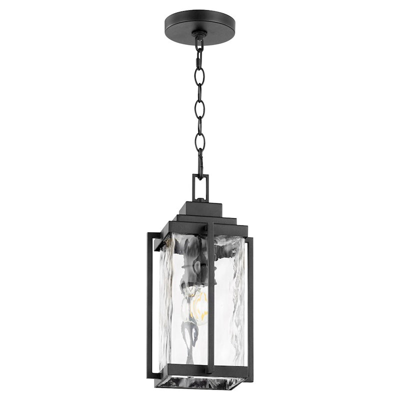 Quorum Domus 1 Light Pendant, Noir/Clear Water Glass