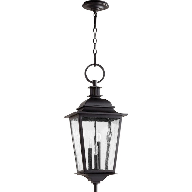 Quorum Pavilion 3-LT 29' Outdoor Pendant, Noir