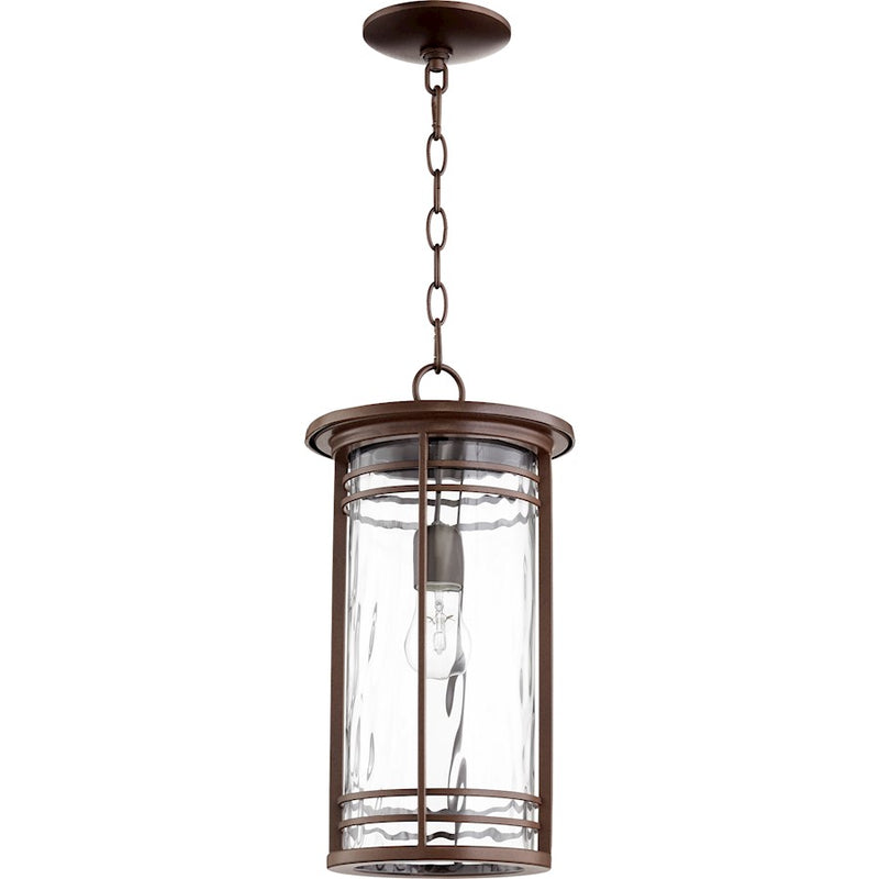 Quorum Larson 1-LT 9.25' Outdoor Pendant, Bronze/Clear Hammered