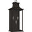 Quoizel Abernathy 3 Light Outdoor Lantern, Old Bronze/Glass