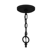 Quoizel Acacia 9 Light Chandelier, Matte Black/Clear Water