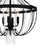 Quoizel Adelaide 4 Light Pendant, Matte Black