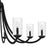 Quoizel Allard 8Light Chandelier, Matte Black/Clear Water Glass