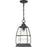 Quoizel Admiral 1 Light Outdoor Hanging, Mottled Black/Clear
