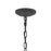 Quoizel Admiral 1 Light Outdoor Hanging, Mottled Black/Clear