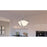 Quoizel Antebellum 2 Light Pendant
