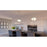 Quoizel Antebellum 2 Light Pendant