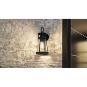 Quoizel Barber 1 Light 17" Outdoor Lantern, Matte Black/Clear Seedy