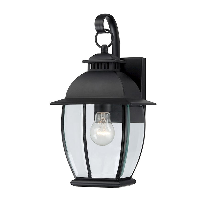 Quoizel 1 Light Bain Outdoor Wall Lantern in Mystic Black