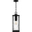 Quoizel Balchier 1Lt Mini Pendant, Matte Black/Clear Hammered Glass