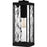 Quoizel Balchier 1Lt Mini Pendant, Matte Black/Clear Hammered Glass
