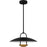 Quoizel Bingham Light Pendant, Matte Black/Metal