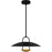 Quoizel Bingham Light Pendant, Matte Black/Metal