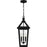 Quoizel Boulevard 3 Light 23" Outdoor Lantern, Black/Clear Seedy