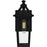 Quoizel Boulevard 1 Light 13" Outdoor Lantern, Black/Clear Seedy