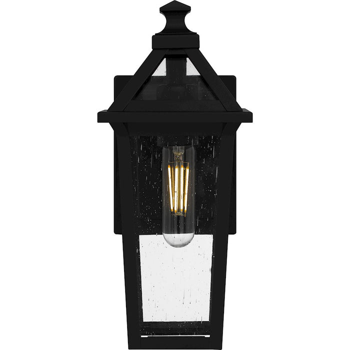 Quoizel Boulevard 1 Light 13" Outdoor Lantern, Black/Clear Seedy