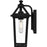 Quoizel Boulevard 1 Light 13" Outdoor Lantern, Black/Clear Seedy