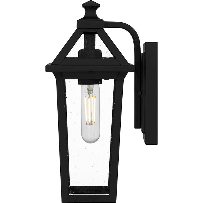 Quoizel Boulevard 1 Light 13" Outdoor Lantern, Black/Clear Seedy