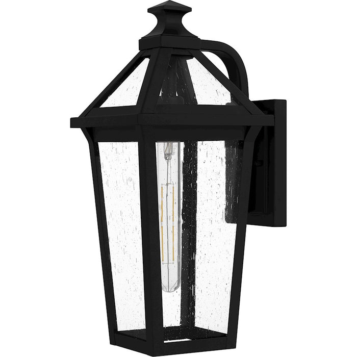 Quoizel Boulevard 1 Light 18" Outdoor Lantern, Black/Clear Seedy