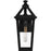 Quoizel Boulevard 1 Light 18" Outdoor Lantern, Black/Clear Seedy