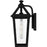 Quoizel Boulevard 1 Light 18" Outdoor Lantern, Black/Clear Seedy