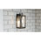 Quoizel Bramshaw 1 Light Outdoor Lantern, Matte Black/Seeded