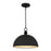 Quoizel Braylon 4-Lt Matte Black Pendant, Matte Black - BRAY1814MBK