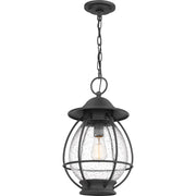 Quoizel Boston 1 Light Outdoor Hanging Lantern, Mottled Black