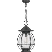 Quoizel Boston 1 Light Outdoor Hanging Lantern, Mottled Black