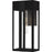 Quoizel Boswell 1Lt 16" Outdoor Lantern, Black/Clear/Clear Tempered - BSW8407MBK