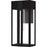 Quoizel Boswell 1Lt 16" Outdoor Lantern, Black/Clear/Clear Tempered