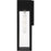 Quoizel Boswell 1Lt 16" Outdoor Lantern, Black/Clear/Clear Tempered