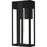 Quoizel Boswell 1Lt 20" Outdoor Lantern, Black/Clear/Clear Tempered
