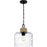 Quoizel Baltic 1 Light Mini Pendant, Matte Black/Clear Water