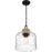 Quoizel Baltic 1 Light Mini Pendant, Matte Black/Clear Water
