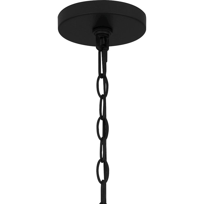 Quoizel Baltic 1 Light Mini Pendant, Matte Black/Clear Water